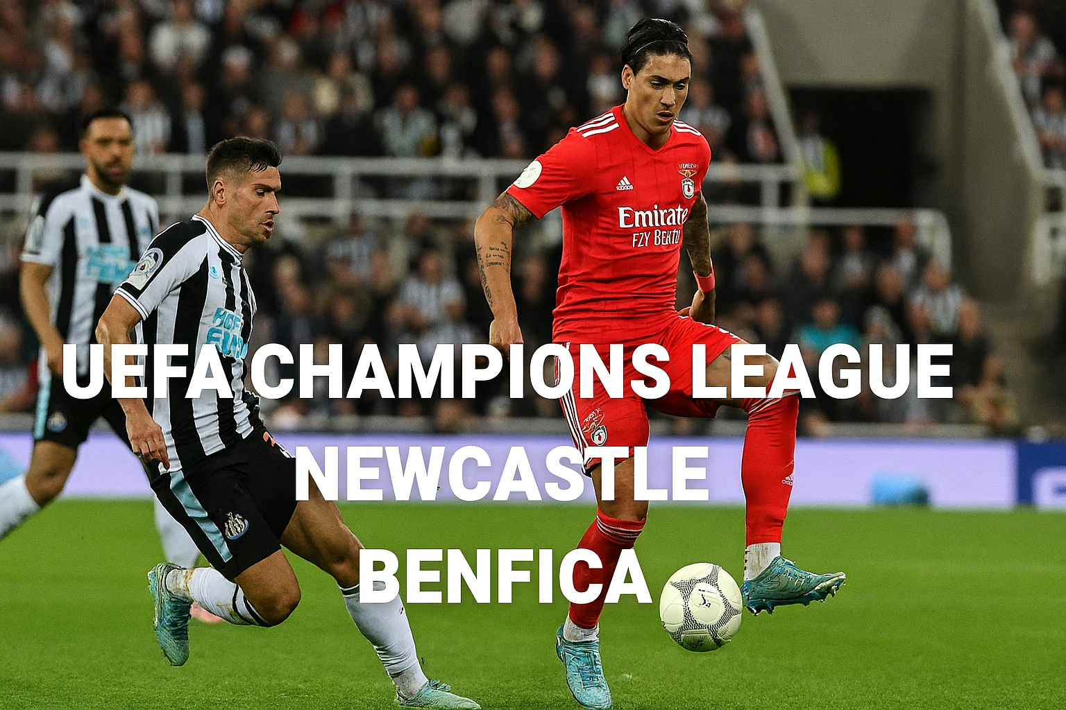 Jalalive : Newcastle Bungkam Benfica 3-0 di Liga Champions UEFA – Langkah Signifikan di Babak Penyisihan Grup